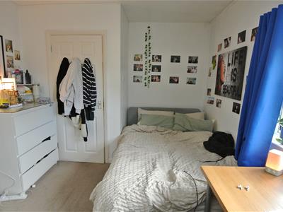 Picture 7